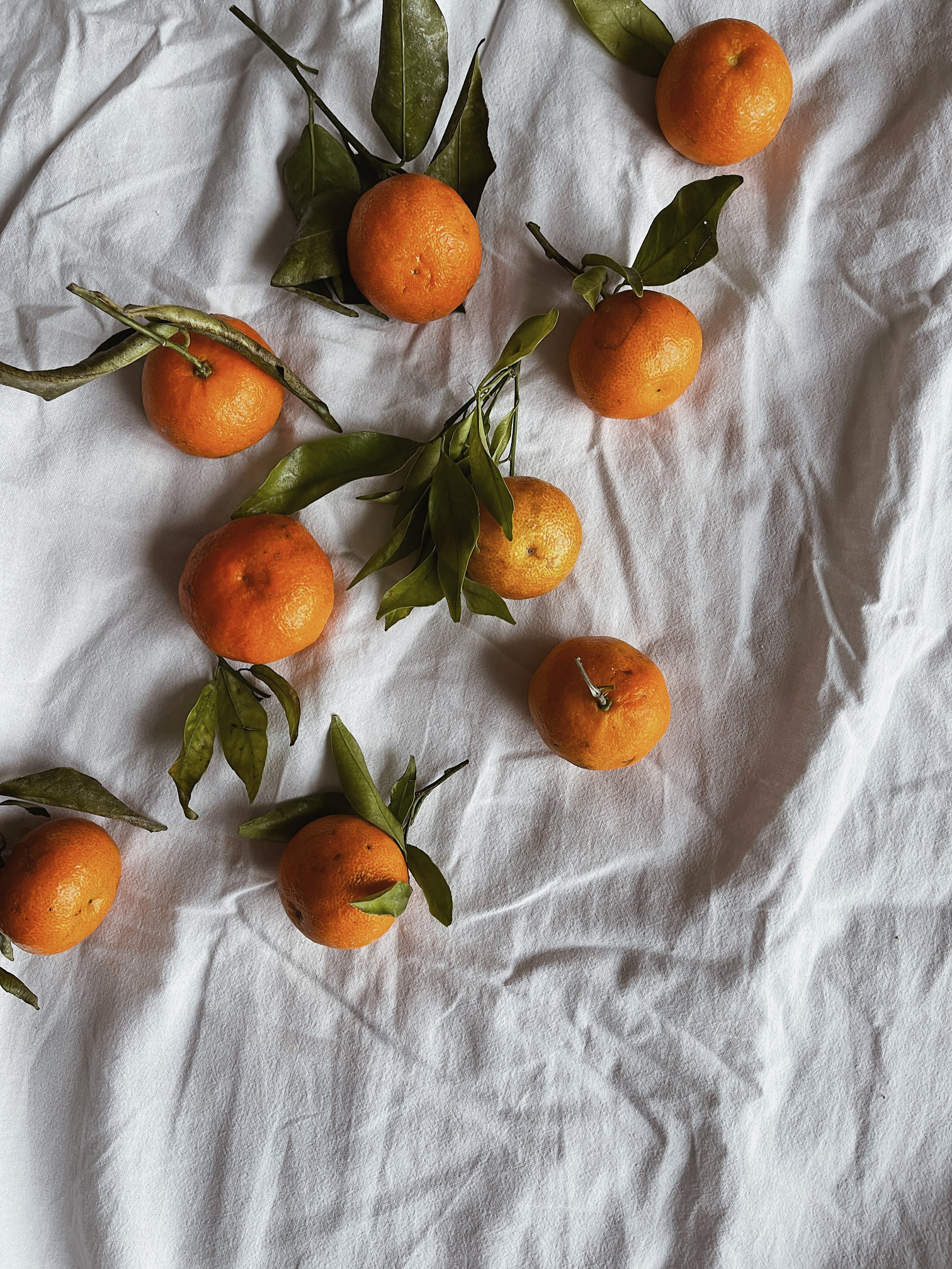 Oranges on Linen